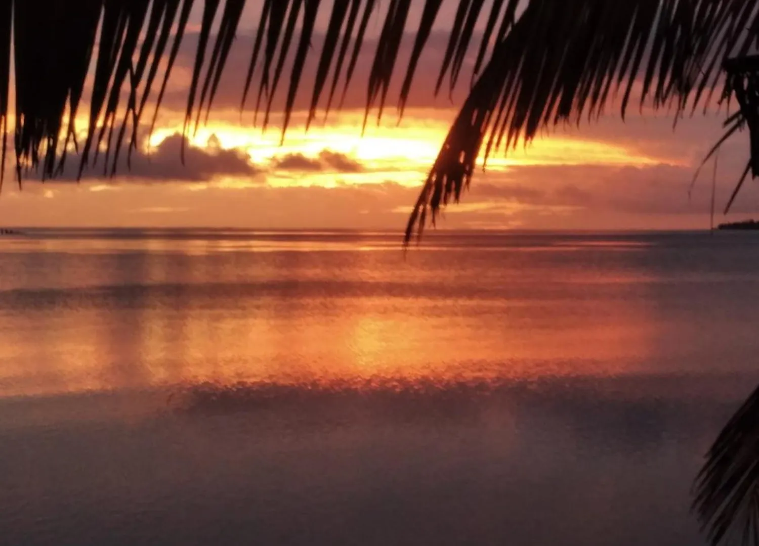 Maupiti Authentique Bed & Breakfast Te-Fare-Arii French Polynesia